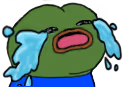 pepe_cry emote