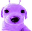 plerp emote