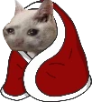 kitty_blanky emote