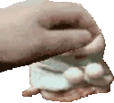 pethamster emote