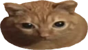 LASANG emote