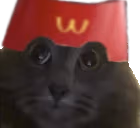 mctuh emote