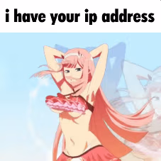i_got_ur_ip emote