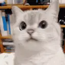 nope emote