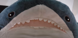 HAJ emote