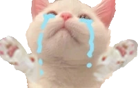 NOOOO emote