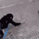 monkeyHug emote