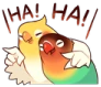 Birbs_Laugh emote
