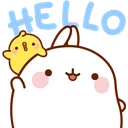 MolangHello emote