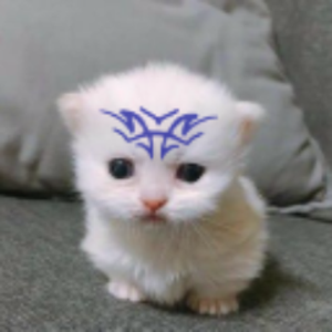 d4inz avatar