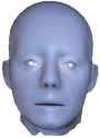 plasticBruh emoji