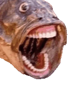 crazyFish emote