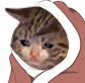 CE_CozySadBlanket emote