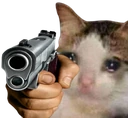sadcat_gun emote