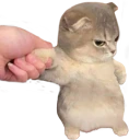 kitterhmph emote