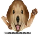 Holaaaaaaaaaaaaaa emote