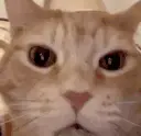 JAJAJAJA emoji