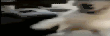 perroarmy emote