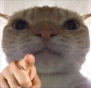 point emote