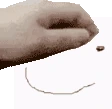 PetDrnun emote