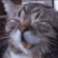 CE_hehe emote