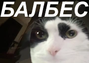 BALBES emote