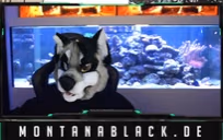 Monte emote
