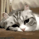 Grustno emote
