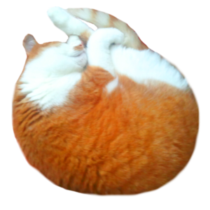 samsah avatar