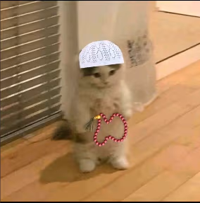 muslim_cat emote