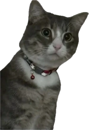 el_joey_67 emote