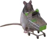 SHOPPING emote