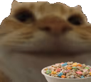 swagnom emote