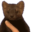 mink_dead emote
