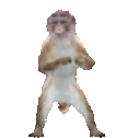 monkeyDance emote