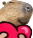 capyL emote