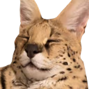 sogga_smile emote