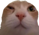 o_O emote