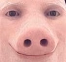 JohnPork emote