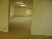 Backrooms emote