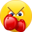 skype_Punch emote