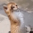 07 emote
