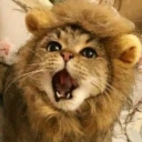 lion emote