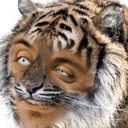 Tigersen emoji