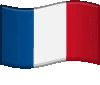 french_flag emote