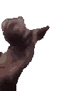 ferretJAM emote