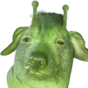 clorp emote
