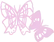 butterfly emote