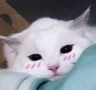 CE_Blush5 emoji