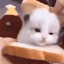 TheCatThatLicksTheBread emote